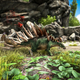 Illustration for article titled iArk: Survival Evolved /iStudio Reverses Plan To Wipe The Servers